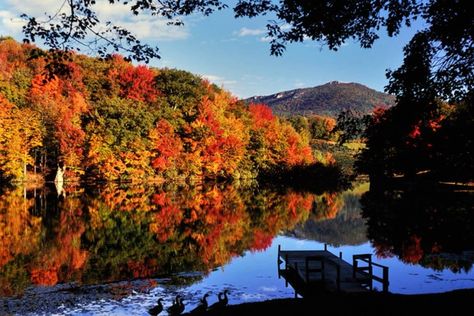 Where to View the Fall Colors in Banner Elk | High Country Visitors' Guide Courtyard Marriott, Family Ski Trip, Grandfather Mountain, Banner Elk, Vacation Itinerary, House Museum, Blue Ridge Mountains, Ski Trip, Fall Foliage