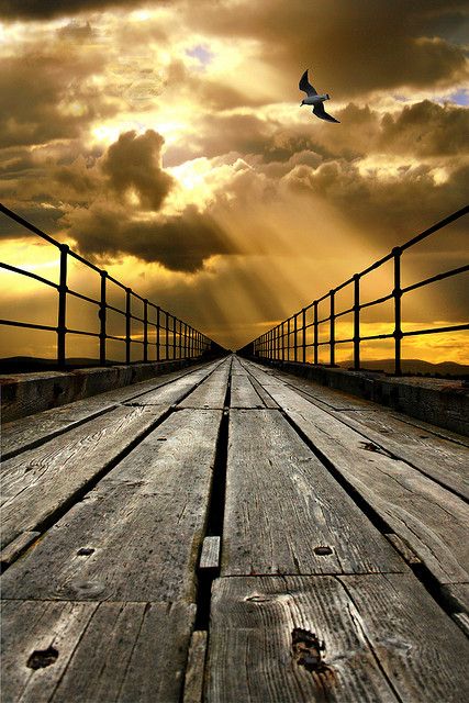 Beautiful image !!! #fotografía #photography Vanishing Point, Wooden Bridge, Trip Planner, Depth Of Field, Pics Art, Insta Photo, Inspiration Board, Beautiful Photography, Adventure Time