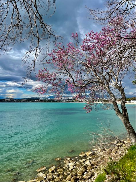 #ancient #ancientarchitecture #akdeniz #sea #seating #beach #spring #turkey #turkish #türkiye Side Turkey Beach, Turkey Beach, Side Turkey, 2024 Travel, Ancient City, Ancient Cities, Siding, Travel, Quick Saves