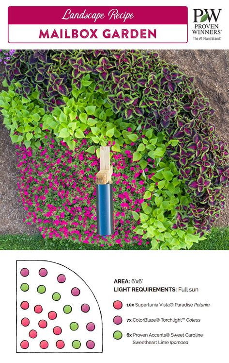 Getting the mail will no longer be a chore when the mailbox is surrounded by a beautiful garden! Check out this easy to install DIY mailbox garden plan for a planting diagram and shopping list. The bright pinks, greens and purples planted in arcs around your mailbox will be sure to put a smile on your (and your mailman's) face all season long! Cluster Mailbox Landscaping, Year Round Mailbox Landscaping, Mailbox Garden Full Sun, Mailbox Garden Plan, Flowers Around Mailbox Ideas Curb Appeal, Easy Mailbox Landscaping, Mailbox Planting Ideas, Plants Around Mailbox Post, Flowers Around Mailbox Ideas