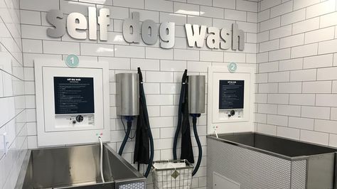 Dog Grooming Salon Decor, Dog Boutique Ideas, Pet Grooming Shop, Animal Shelter Design, Dog Station, Pet Daycare, Pet Store Ideas, Dog Boarding Kennels, Pet Grooming Salon