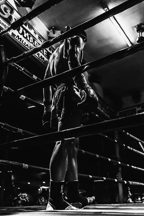 Boxer Aesthetic, Boxing Images, Endurance Workout, Sports Aesthetic, Boxing Workout, Beautiful Dark Art, Foto Art, Book Inspiration, Character Aesthetic