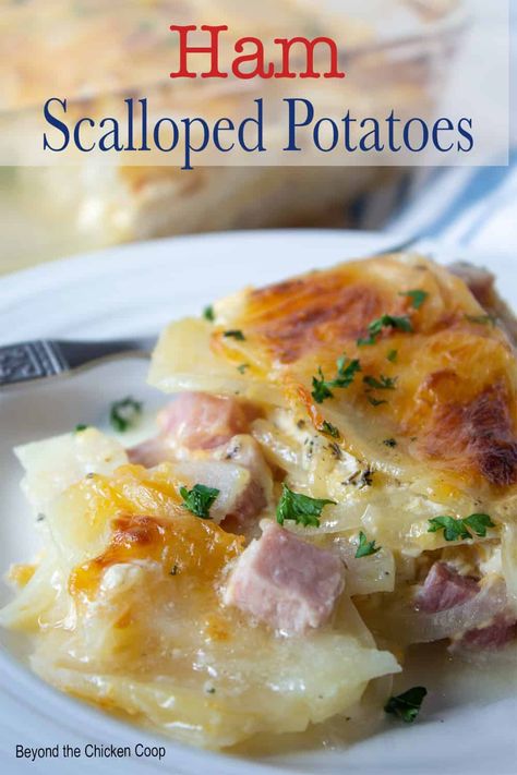 Ham and scalloped potatoes is a classic comfort food casserole. This cheesy potato dish is a perfect recipe to use up leftover ham. Filled with layers of potatoes, onions, ham and cheese and baked until golden. Crockpot Au Gratin Potatoes, Ham And Scalloped Potatoes, Potatoes With Ham, Salad To Go, Au Gratin Potatoes, Scalloped Potatoes And Ham, Gratin Potatoes, Cheesy Ham, Ham Casserole