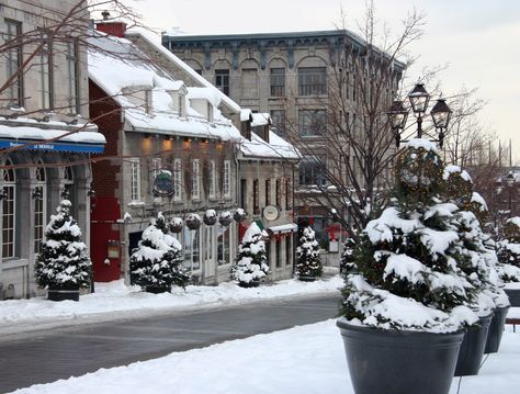 Old Montreal - winter Architecture Activities, Montreal In Winter, Things To Do In Montreal, Canada Snow, Quebec City Canada, History Architecture, Beautiful Places To Live, Old Montreal, Of Montreal