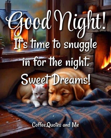 It's Time To Snuggle In For The Night. Good Night & Sweet Dreams Pictures, Photos, and Images for Facebook, Tumblr, Pinterest, and Twitter Funny Good Night Pictures, Sweet Dreams Pictures, Funny Good Night Images, Beautiful Good Night Messages, Dreams Pictures, Sweet Good Night Messages, Good Night Blessings Quotes, Good Night Qoutes, Good Night Friends Images