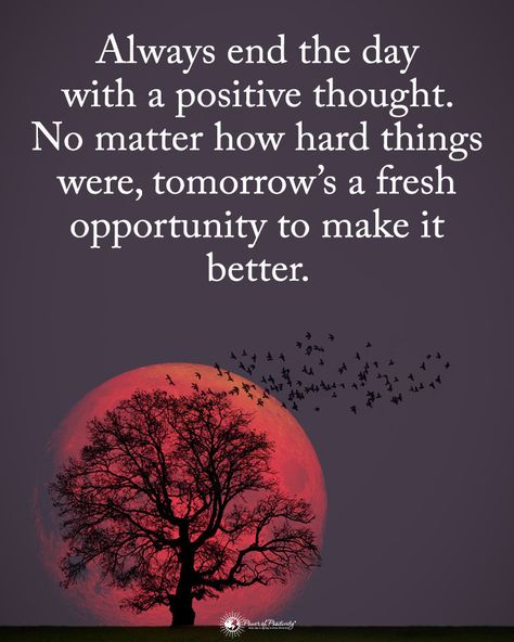 Power of Positivity on Instagram: “TAG someone who needs to read this.  Always end the day with a positive thought. No matter how hard things were, tomorrow's a fresh…” A Positive Thought, Motivational Memes, Positive Thought, Inspo Quotes, Positive Self Talk, Power Of Positivity, Word Of Mouth, Poetry Words, Best Inspirational Quotes