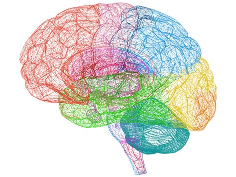 Brain Sketch, Auditory Processing Disorder, First Aid Course, Auditory Processing, Brain Art, Total Workout, Processing Disorder, Fitness Program, Body Scanning