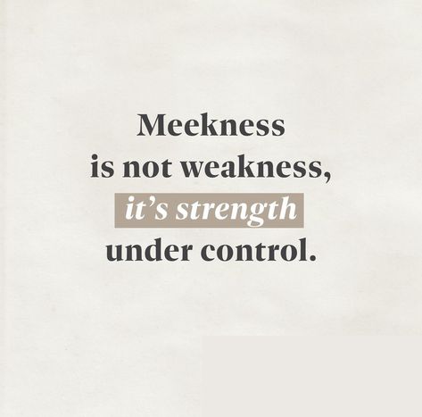 Are you meek? Meekness Is Not Weakness, Meekness Quotes, Kindness Mistaken For Weakness, Still Me Jojo Moyes, She Wasnt Looking For A Knight Quote, Biblical Lifestyle, Future Vision, Keep It Real, Stay Motivated