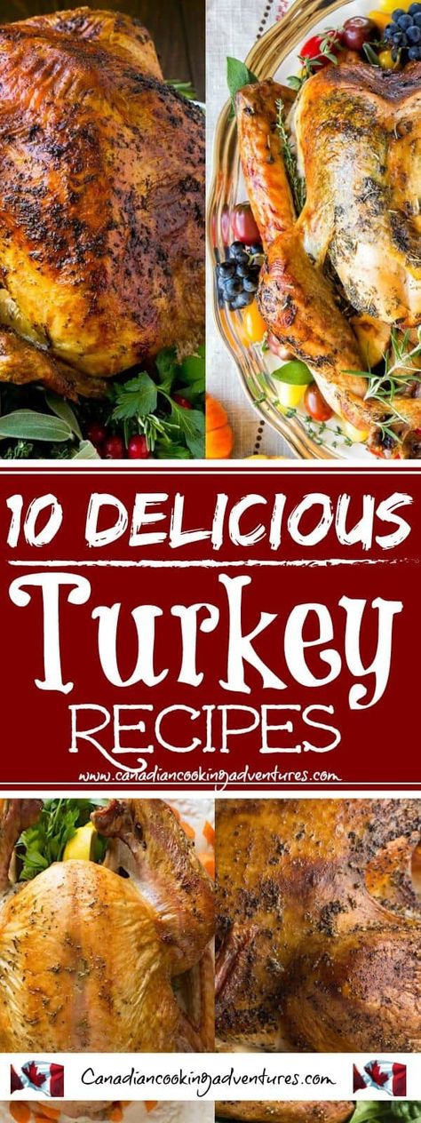 10 Delicious Turkey Recipes Roasted Turkey Recipes, Wisconsin Christmas, Delicious Turkey Recipes, Turkey Pieces, Recipe Thanksgiving, Slow Cooker Turkey Breast, Healthy Thanksgiving, Turkey Recipes Thanksgiving, Delicious Thanksgiving