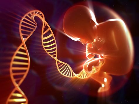 Dna Sequencing, Dna Art, Interesting Science Facts, Genetic Diseases, Human Genome, Genetic Engineering, Genetic Mutation, Genetic Disorders, Unborn Baby