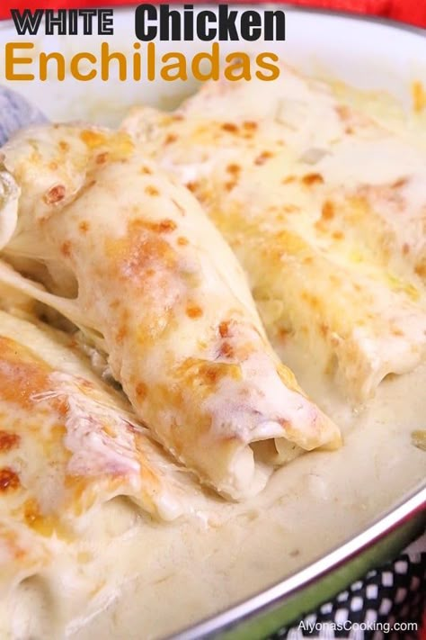 White Chicken Enchiladas Recipe (With Step-by-Step Photos) Chicken Enchiladas Recipe, White Chicken Enchiladas, Enchilada Recipe, Enchiladas Recipe, Chicken Enchilada Recipe, Chicken Enchilada, Enchilada Recipes, White Chicken, Meatloaf Recipes