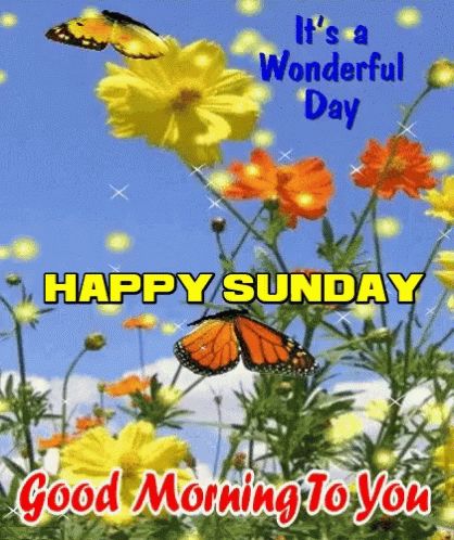 Happy Sunday Good Morning GIF - HappySunday GoodMorning SundayMorning - Discover & Share GIFs Sunday Gif, Good Morning Gifs, Happy Sunday Images, Latest Good Morning Images, Happy Sunday Morning, Special Good Morning, Sunday Images, Latest Good Morning, Good Morning Beautiful Gif