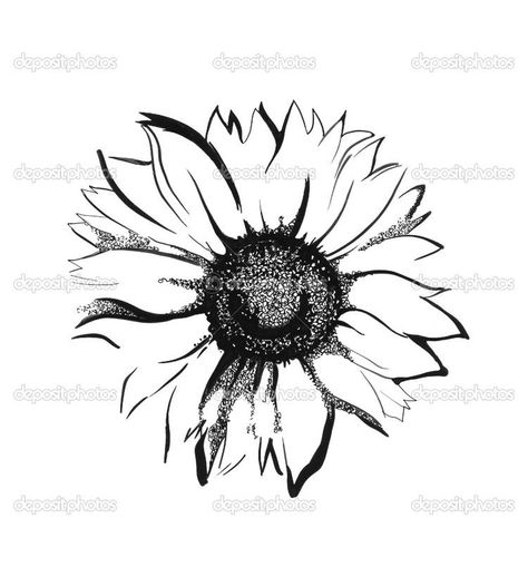 Sunflower Tattoo Black And White, Sunflower Tattoo Black, Rose And Sunflower Tattoo, White Rose Tattoo, Rose And Sunflower, Sunflower Tattoo Thigh, Sunflower Tattoo Simple, Sunflower Black And White, Tattoo Sunflower