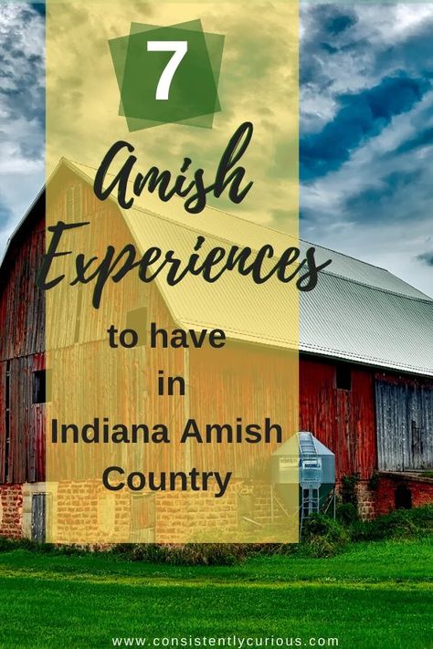 7 Amish Experience to Have During Your Visit to Indiana Amish Country   In-home Dining, buggy rides, shopping and more.   #amishcountry #amish #shipshewana #indianaamishcountry Indiana Vacation, Shipshewana Indiana, Horse Buggy, Travel Places To Visit, Amish Culture, Best Places To Vacation, Indiana Travel, Northern Indiana, Amish Country