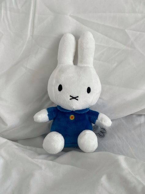 Miffy Merch, Lulu Aesthetic, Blue Miffy, Dutch Rabbit, Kawaii Crochet, White Bunny, Pfp Ideas, Fluffy Animals, Bunny Girl