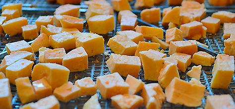 6 Steps Guide on Dehydrating Cheese at Home - UFP Dehydrating Cheese, Dehydrated Cheese, Homemade Cheeses, Making Cheese At Home, Leftover Milk, Cheese At Home, Dehydrated Foods, Homemade Trail Mix, Diy Spices