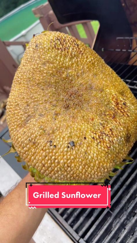 #Grilled #Sunflower #ASMR🌻👄🌻 #gardentok #cooktok #yum #trending #trynewthings #tajin #growyourfood Grilled Sunflower Head Recipe, Grilled Sunflower Head, Sunflower Head, Weight Gain, Grilling, Sunflower