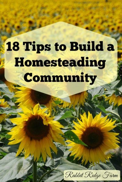 18 Tips to Build a Homesteading Community Homesteading Skills, Hobby Farms, Off Grid Living, New Leaf, Have You Ever, A Garden, Farmer, Road, Building