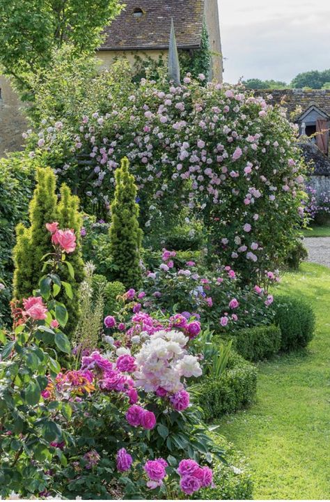 French House Garden, French Garden Inspired Backyard, English Rose Garden Design Cottage Style, English Garden Inspiration, French Country Flower Beds, French Cottage Garden Provence France, French Countryside Garden, English Country Garden Design, Country Cottage Garden Ideas