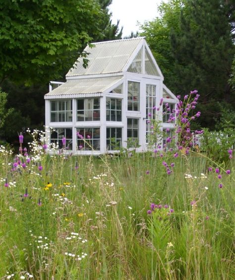 Windows Greenhouse, Serre Diy, Modern Lofts, Old Wood Windows, Recycled Windows, Window Greenhouse, Loft Conversions, Greenhouse Shed, Backyard Greenhouse