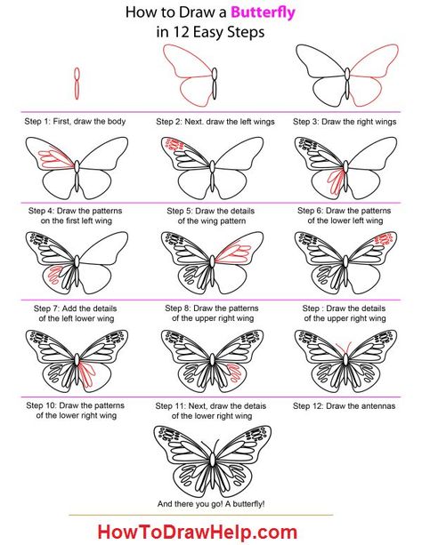 Hur Man Ritar Blommor, Draw A Butterfly, Butterfly Art Drawing, Draw Tutorial, Butterfly Tutorial, Easy Drawing Steps, Butterfly Images, Butterfly Drawing, Doodles Zentangles