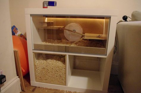 pretty sure this is the one. It is the idea i had mostly and the exact bookcase i was going to use :D ding ding we have a winner yay! Bookcase Hamster Cage, Kallax Hamster Cage, Hedgehog Habitat, Hamster Diy Cage, Hamster Ideas, Hedgehog Cage, Gerbil Cages, Mouse Cage, Cage Hamster