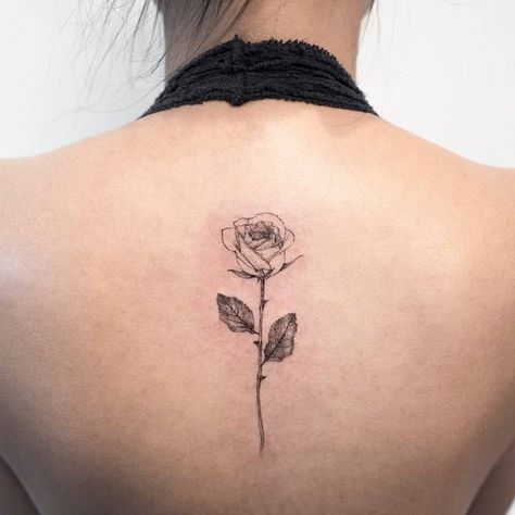 Rose tattoo on the upper back. Word Tattoos On Hand, Rose Neck Tattoo, Rose Tattoo On Back, Tattoo Son, Tattoo On Back, Small Rose Tattoo, Neck Tattoos Women, About Rose, Beautiful Flower Tattoos