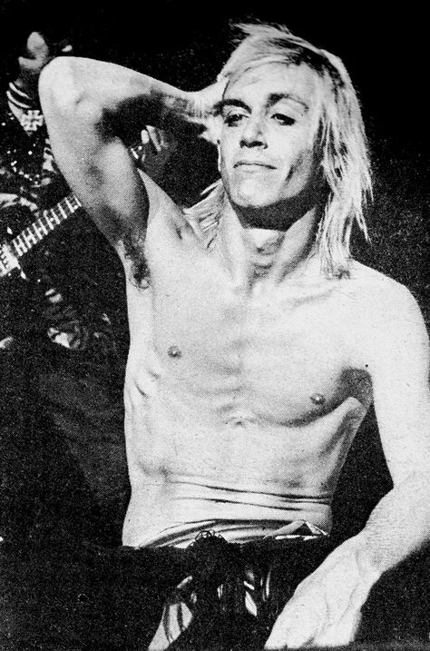 Iggy Pop 70s, Proto Punk, Iggy And The Stooges, The Stooges, Iggy Pop, Glam And Glitter, Rock N Roll, Musician, Historical Figures