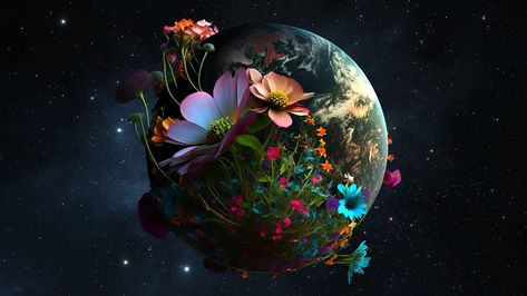 #Spring #Springtime #Spring2023 Planet Alignment, September Equinox, March Equinox, Planets In The Sky, Red Maple Tree, Celestial Sphere, Polar Night, Magic Land, Autumnal Equinox