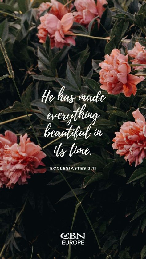 Bible And Flowers Aesthetic, Christian Wallpaper Flowers, Peony Aesthetic Wallpaper, Flower Bible Verse Wallpaper, Aesthetic Scripture Wallpaper, Pray Journal, Bible Goals, Painted Bible, Scripture Wallpaper