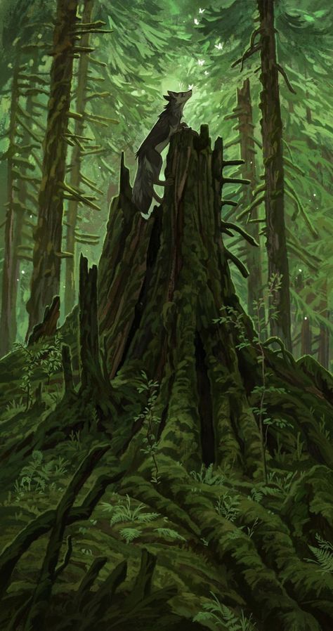 Cursed Forest, German Forest, Forest Aesthetic, Forest Creatures, Doodle Drawings, Sketch Book, Illustrator, Sign Up, Forest