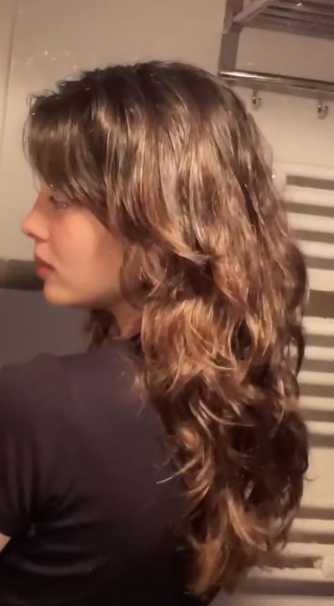 Butterfly Layers Hair Medium Wavy, Selena Gomez Hair Curly, Layered Long Wavy Haircut, Long Bangs On Curly Hair, Natural Wavy Hair Face Framing Layers, Clairo Haircuts, 2b Haircut Medium Layers, Layered Medium Hair Wavy, Layered Haircuts For 2b Hair