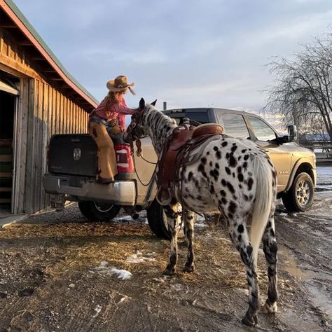 Life on the range is a breeze for professional rancher and Ram Truck owner, Emmie Sperandeo. From rustling cattle to raising a family of farm animals—this is how strong women get ranching done 💪#womensmonth Women in Ranching.  Visit us from 9-8 pm today.  #carolinachryslerdodgejeepram #fastfairandfriendly #chrysler #dodge #ram #jeep #servicematters #thecustomerisalwaysright Emmie Sperandeo, Cattle Trailers, Womens Month, Ram Truck, Curl Lashes, Ranch Life, Ram Trucks, Chrysler Dodge Jeep, Dodge Ram