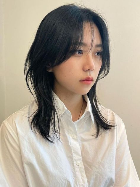 (Korean Layered Haircut) hush cut for medium length hair Hush Haircut Wavy Hair, Hush Cut Medium Length, Hush Cut Shoulder Length, Short Hush Cut With Curtain Bangs, Short Hush Cut With Bangs, Medium Hush Cut, Hush Cut Hair Short, Hush Cut Short, Hush Cut Hair Medium