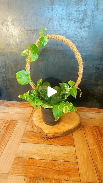 Diy Circle Trellis, Pothos Plant Decor, Circle Trellis, Round Trellis, Potted Plant Trellis, Pot Trellis, Garden Hacks Diy, Green Living Room, Diy Room Decor Videos