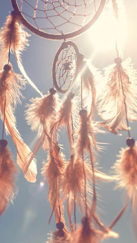 Dream Catcher Wallpaper, Sun Dreamcatcher, Dream Catcher Wallpaper Iphone, There Is Always Hope, Dreamcatcher Wallpaper, Dream Catcher Art, Aesthetic Objects, Phone Wallpaper Boho, Dream Catcher Native American