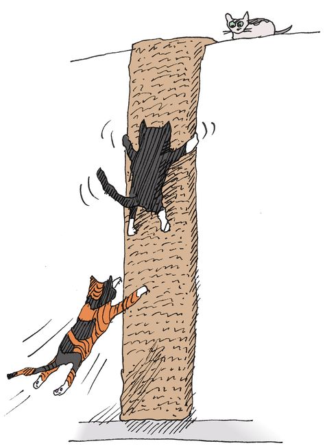 Cat Climber Diy, Cat Wall Climber Diy, Cat Climbing Rope, Climbing Tree Drawing, Cat Wall Climber, Diy Cat Tree Plans, Diy Cat Wall Ideas, Wall Cat Tree, Cat Trees Diy Easy