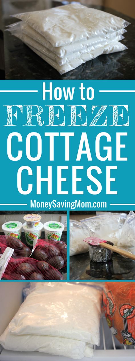 Yep! You can FREEZE cottage cheese!! Here's how! Freeze Cottage Cheese, Stockpiling Food, Freezing Cheese, Freezing Vegetables, Freezer Cooking Recipes, Freezer Food, Freezer Recipes, Healthy Freezer Meals, Money Saving Mom