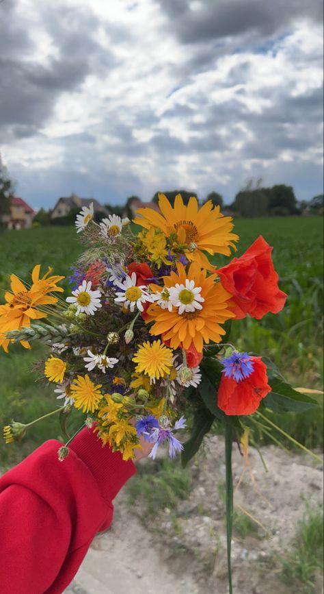 Handpicked Flower Bouquet, Boquetes Of Flowers Aesthetic Photo, Handpicked Flowers Aesthetic, Bright Wild Flowers, Courtship Ideas, Wildflower Bouquet Aesthetic, Bunch Of Flowers Aesthetic, Wild Flowers Aesthetic, Summer Flowers Aesthetic