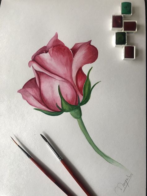 Made pink rose with winsor and newton watercolours Pink Rose Watercolor Painting, Rose Drawing With Color, Rose Pictures Drawing, Rose Drawing Color, Modern Rose Tattoo, Simple Rose Painting, Pink Rose Drawing, Watercolour Pencil Art, Rose Canvas Painting