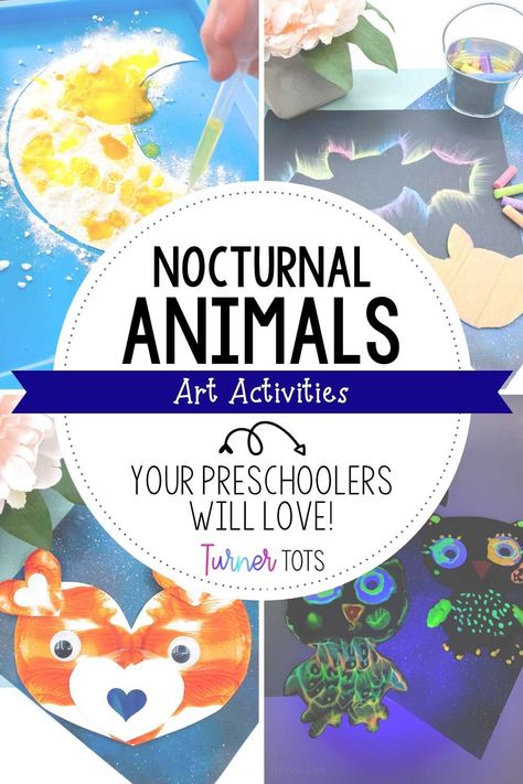 Nocturnal Animals Crafts For Preschoolers, Nocturnal Animal Art Preschool, Nocturnal Animal Books Preschool, Nocturnal Animals Kindergarten Activities, Nocturnal Animal Gross Motor, Night Animals Preschool Crafts, Nocturnal Animal Science Preschool, Nocturnal Animals Preschool Art, Free Nocturnal Animals Preschool