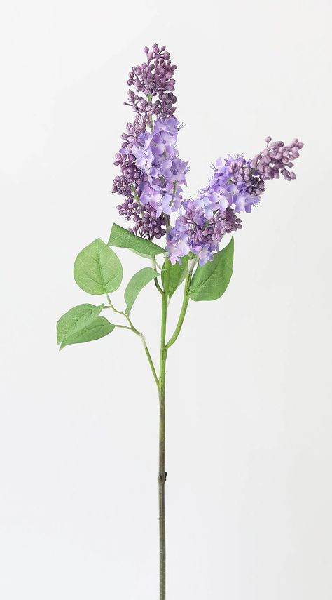 long stem lilac artificial flower Summer Blooming Flowers, Open Foyer, Flower Branches, Tulips Arrangement, Hydrangea Arrangements, Ranunculus Flowers, Spring Tablescapes, Anemone Flower, Flower Stem