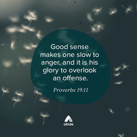 Overlook Offense - Proverbs 19:11 | Abide Proverbs 19 11, Proverbs 19, Slow To Anger, Thank God, Buying Gifts, Proverbs, Anger, The Secret, Quotes