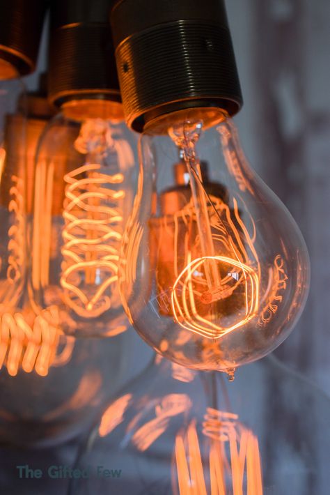 Light Bulbs Aesthetic, Edison Bulb Lighting, Quirky Homeware, Light Bulb Art, Poetry Wallpaper, Boutique Lighting, Blooming Tea, Filament Bulb Lighting, Vintage Light Bulbs