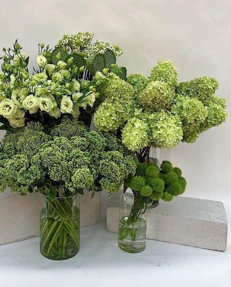 Green Foliage Wedding Decor, Bridal Shower Floral Arrangements, Nancy Meyers Wedding Aesthetic, Chartreuse Flowers, Green Flower Wedding, Green Floral Arrangements, Green Hydrangea Wedding, Foliage Wedding Decor, Costco Flowers