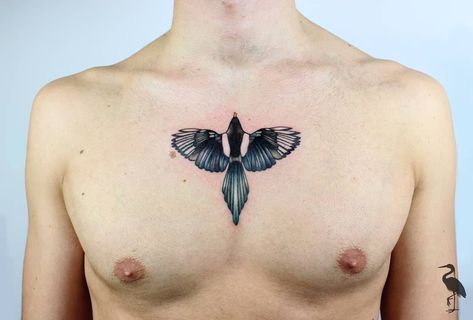 Magpie on the chest by Charlotte at Watermelon Tattoo Edinburgh UK Sternum Tattoo Women, Watermelon Tattoo, Magpie Tattoo, Edinburgh Uk, Movie Tattoos, Tattoo Women, R Tattoo, Sternum Tattoo, Tattoos Ideas