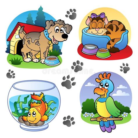 Pets Images, Pets Clipart, Parrot Cartoon, Funny Dog Faces, Dog Faces, Pets Drawing, Cute Fish, Pet Animals, Pet Day