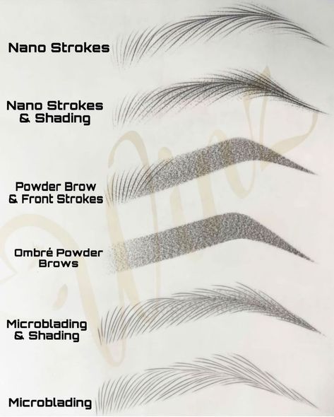 Microblading Eyebrows Training, Mircoblading Eyebrows, Draw Eyebrows, Types Of Eyebrows, Best Eyebrow Makeup, Brow Care, Sulam Alis, Membentuk Alis, Feather Brows