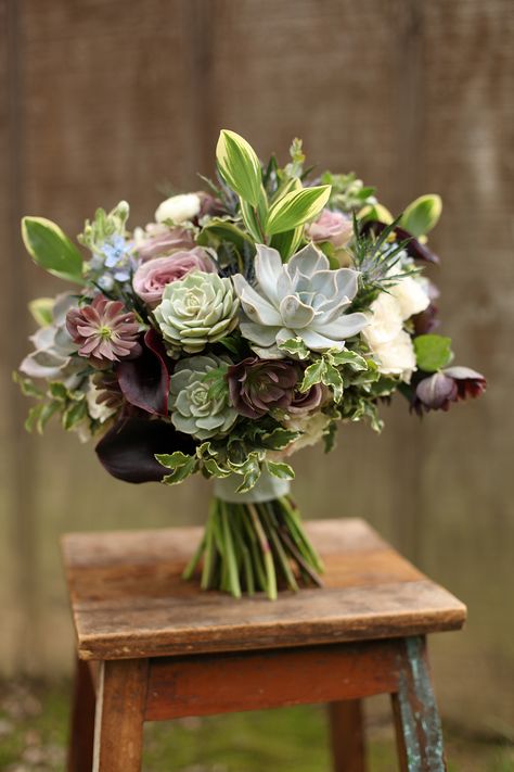 bridal bouquet by wedding florist Floral Verde LLC in Cincinnati, Ohio; with succulents, Schwartzwalder mini callas, double purple hellebores, Amnesia rose, Echeveria ‘Lilacina’, Echeveria ‘Lola’, blue tweedia, thistle, White Majolica spray roses, white ranunculus, gunnii eucalyptus, mini variegated pittosporum and variegated Solomon’s Seal, with a vintage ribbon wrap. Gunnii Eucalyptus, Blue Tweedia, Variegated Pittosporum, Amnesia Rose, Unique Bridal Bouquets, Succulent Boutonniere, Succulent Bouquet Wedding, Bouquet Photography, Purple Succulents