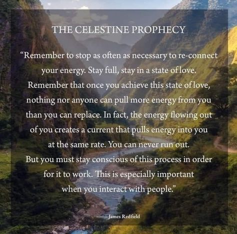 The Celestine Prophecy, Prophecy Quotes, Celestine Prophecy, Prose Poetry, Energy Flow, Spiritual Awakening, Love And Light, Consciousness, You Must